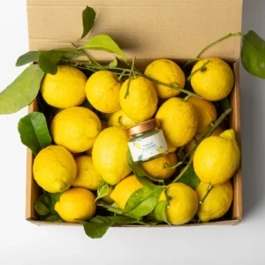 Lemonbox Foglie