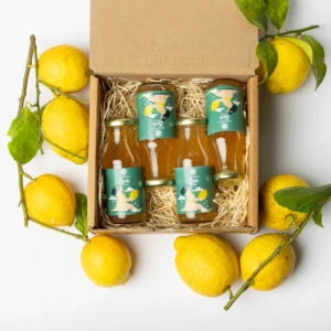 Limonata artigianale Egle - 4 pz. da 200 ml