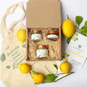 LemonBox +LemonBag in tessuto