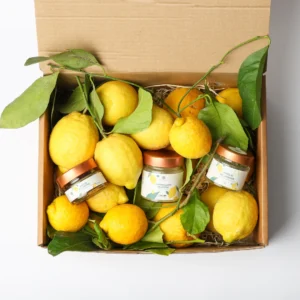 Lemonbox Lemonissima