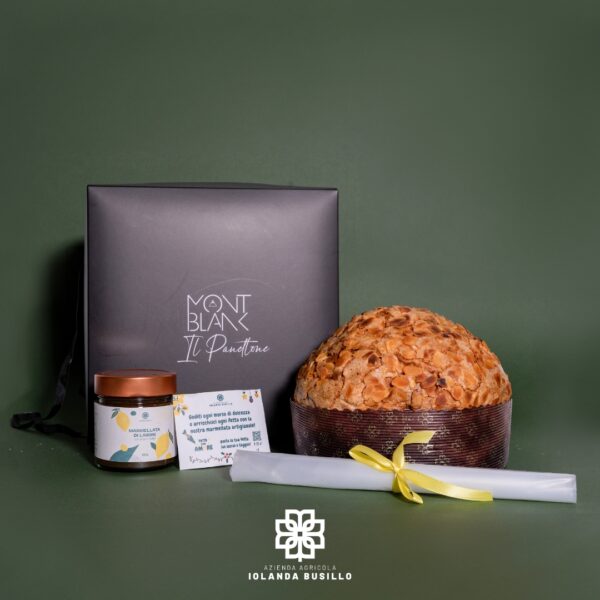 Panettone artigianale al limone