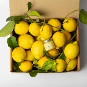 Box il gusto Autentico del Limone