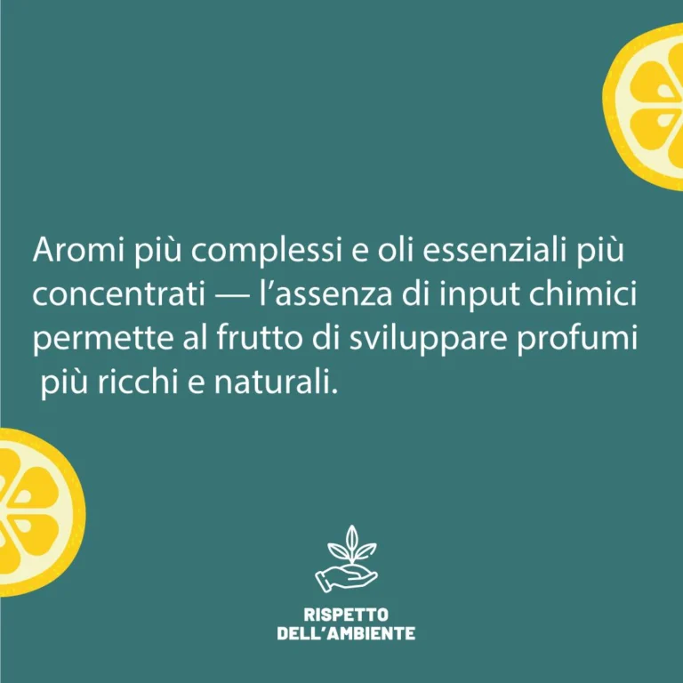 Instagram post from lemonline_bio. This post is in position 2.