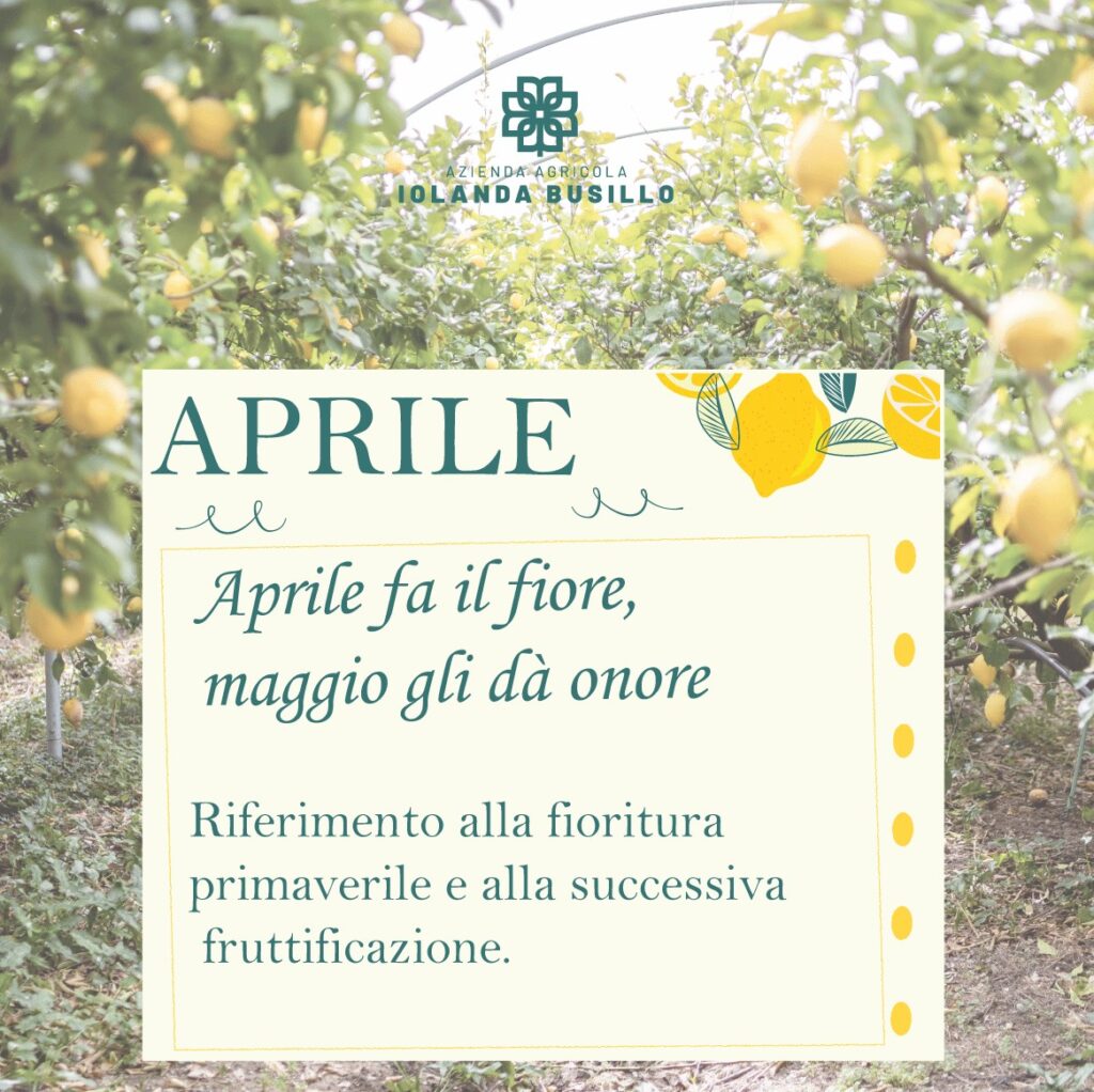 Instagram post from lemonline_bio. This post is in position 4.