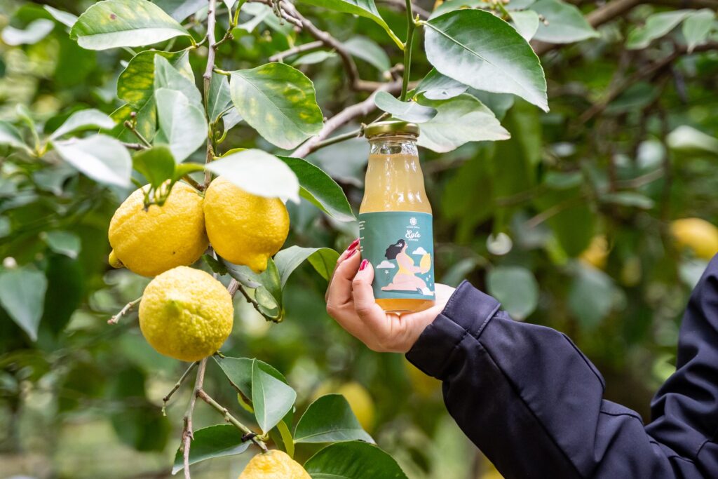Instagram post from lemonline_bio. This post is in position 0.