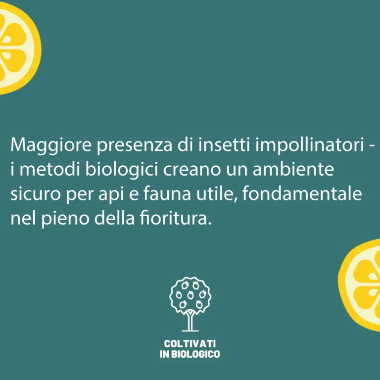 Instagram post from lemonline_bio. This post is in position 1.