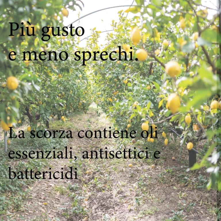 Instagram post from lemonline_bio. This post is in position 2.