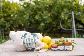 Instagram post from lemonline_bio. This post is in position 2.