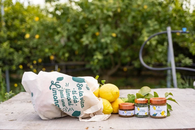 Instagram post from lemonline_bio. This post is in position 1.