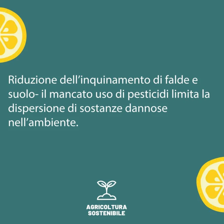 Instagram post from lemonline_bio. This post is in position 3.