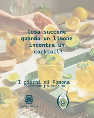 Instagram post from lemonline_bio. This post is in position 4.