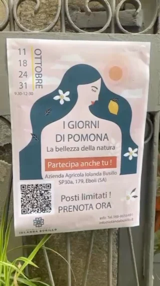 Instagram post from lemonline_bio. This post is in position 1.