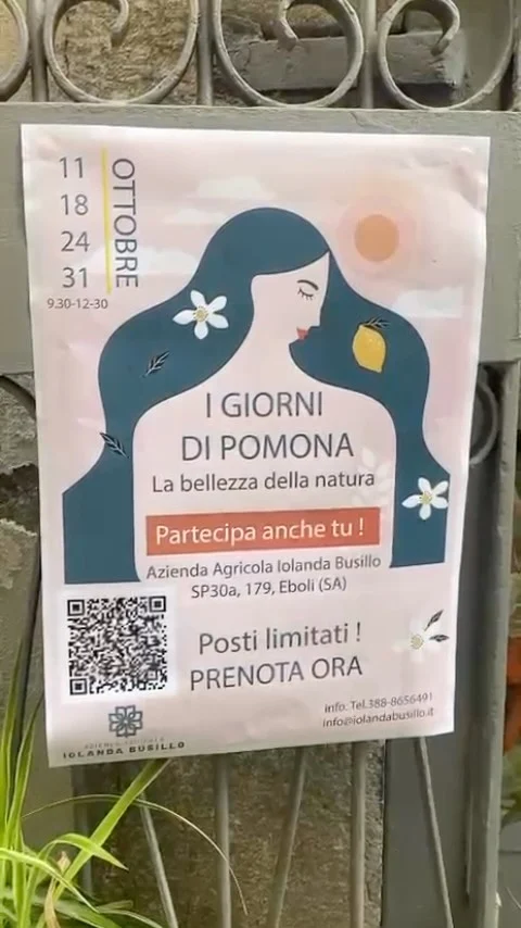 Instagram post from lemonline_bio. This post is in position 0.