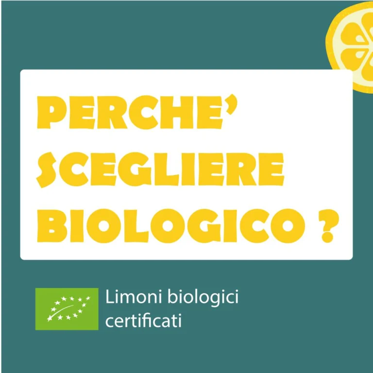 Instagram post from lemonline_bio. This post is in position 0.